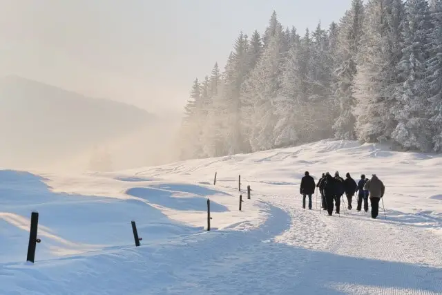 Group of people winter walking