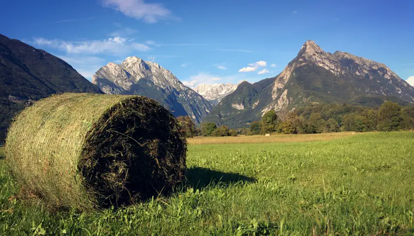Authentic Julian Alps