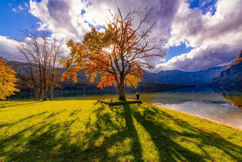 Lake Bohinj in Autumn