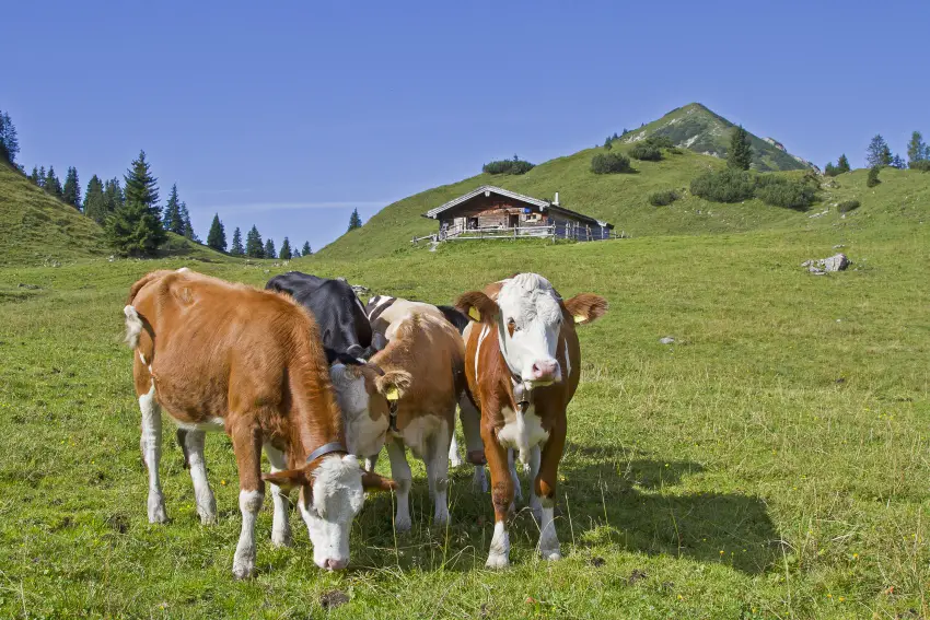 hut-to-hut-austria-bavaria